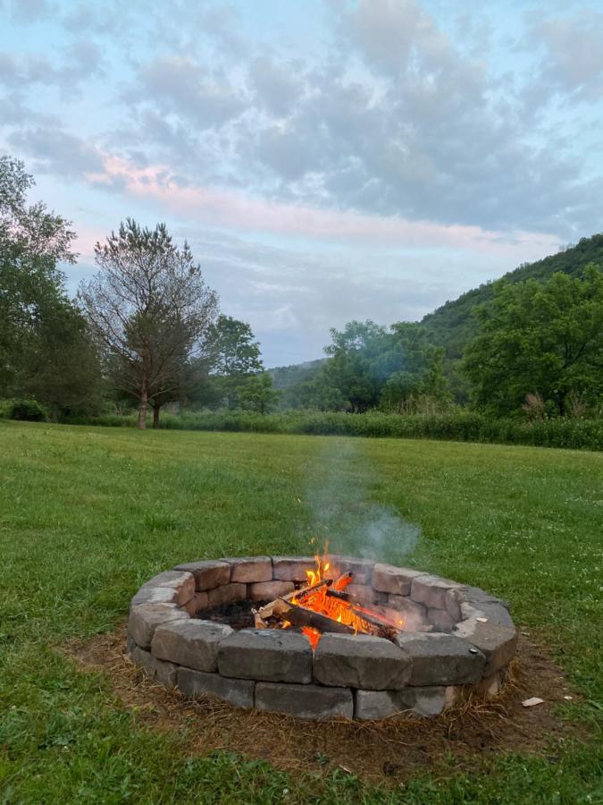 The Maples Apt - King Bed, Pet Friendly, Beautiful Views Ellicottville Eksteriør billede