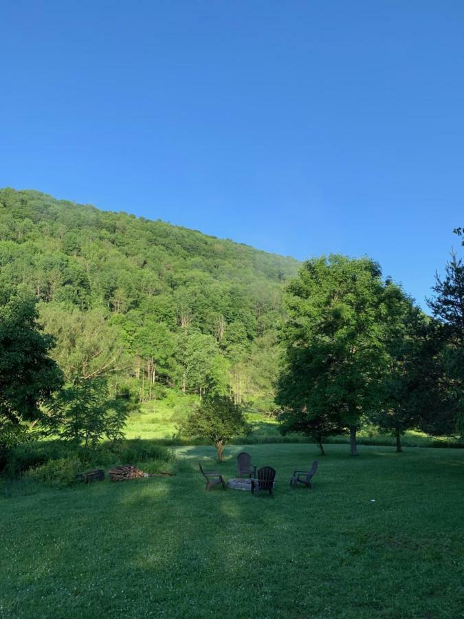 The Maples Apt - King Bed, Pet Friendly, Beautiful Views Ellicottville Eksteriør billede