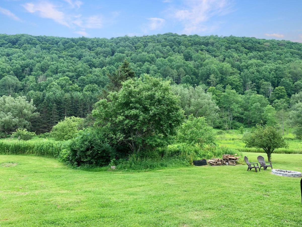 The Maples Apt - King Bed, Pet Friendly, Beautiful Views Ellicottville Eksteriør billede
