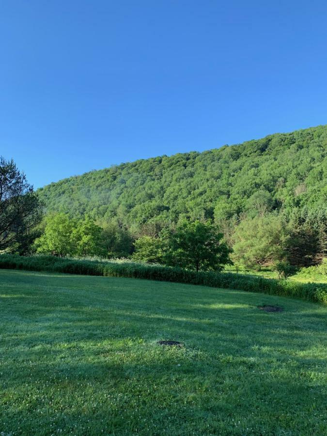 The Maples Apt - King Bed, Pet Friendly, Beautiful Views Ellicottville Eksteriør billede