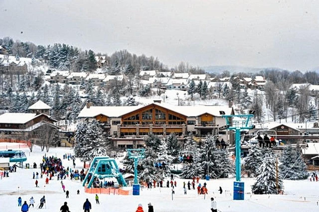 The Maples Apt - King Bed, Pet Friendly, Beautiful Views Ellicottville Eksteriør billede